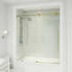Elan E-Class 56-60" W x 66" H Sliding Frameless Tub Door with 3/8" Clear Glass