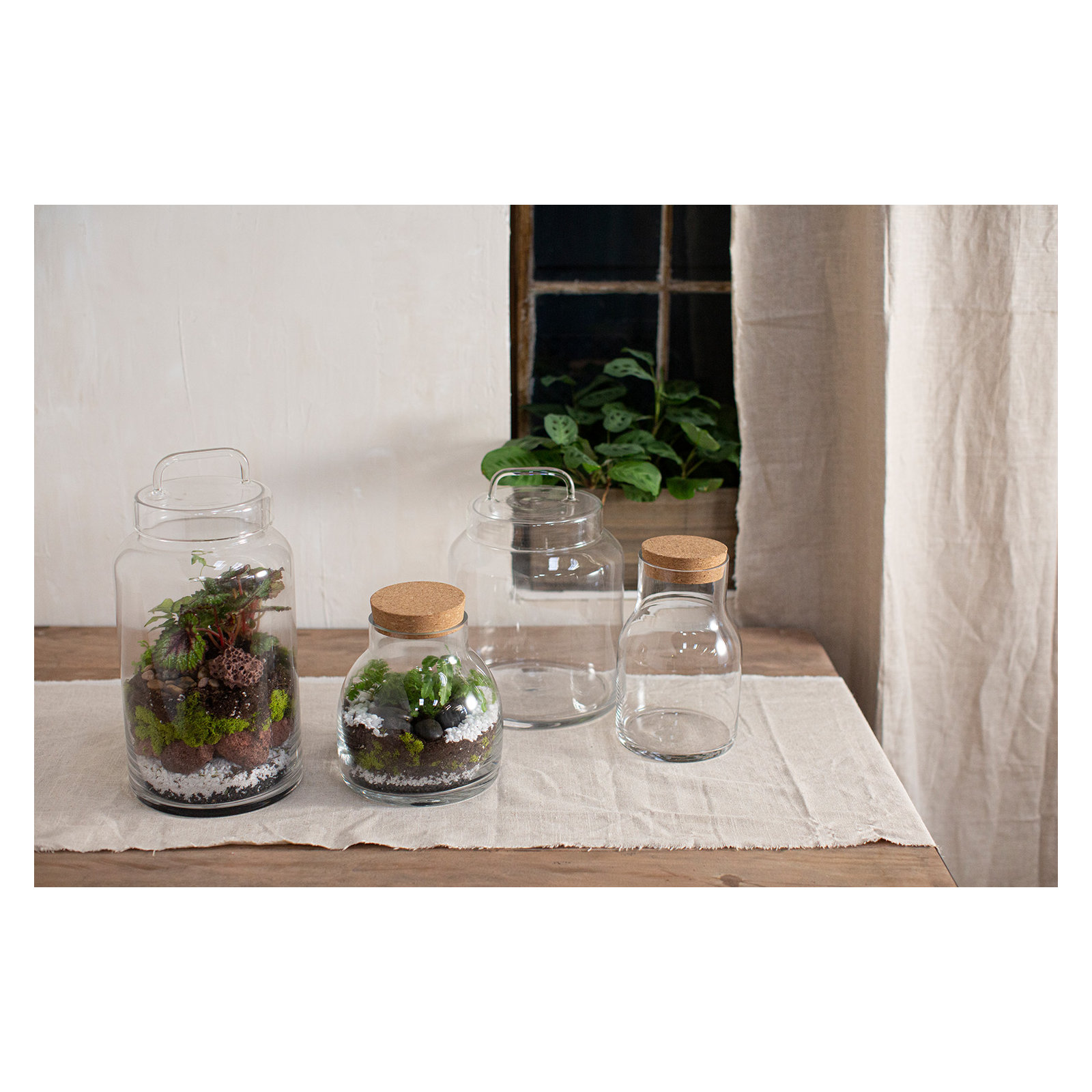 Antin 8'' Handmade Glass Decorative Urns & Jars