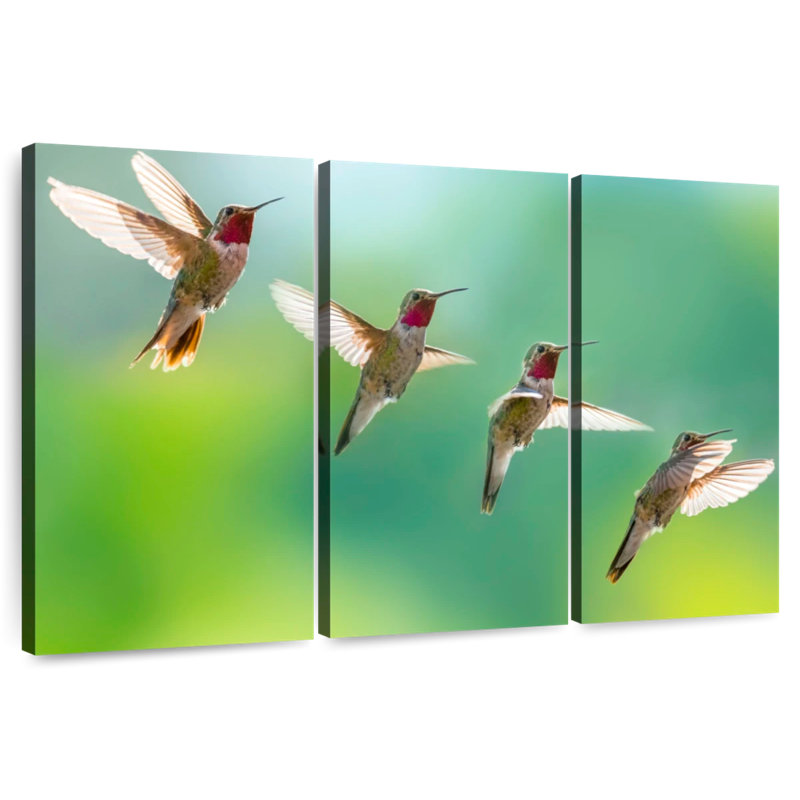Brampt Flying Hummingbirds, 24" H x 38" W