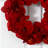 Amaryllis Wreath
