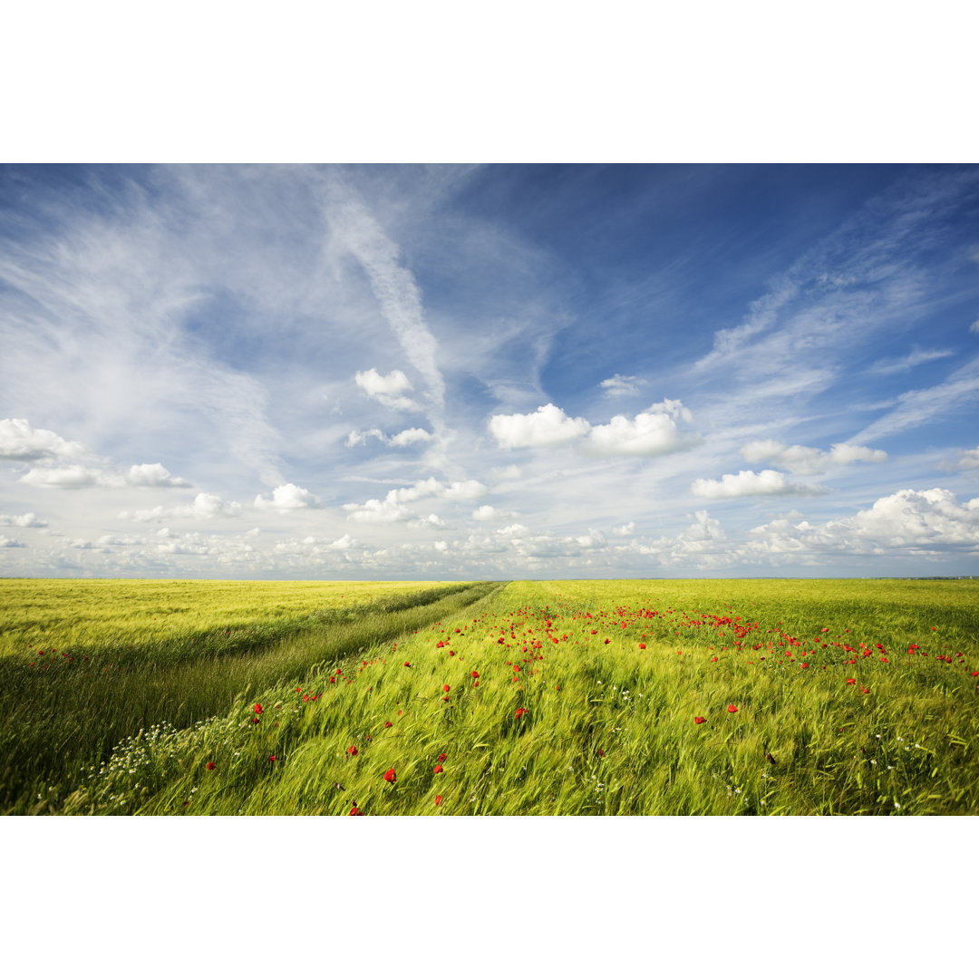 Frühlingslandschaft von JLGutierrez - Leinwandbild