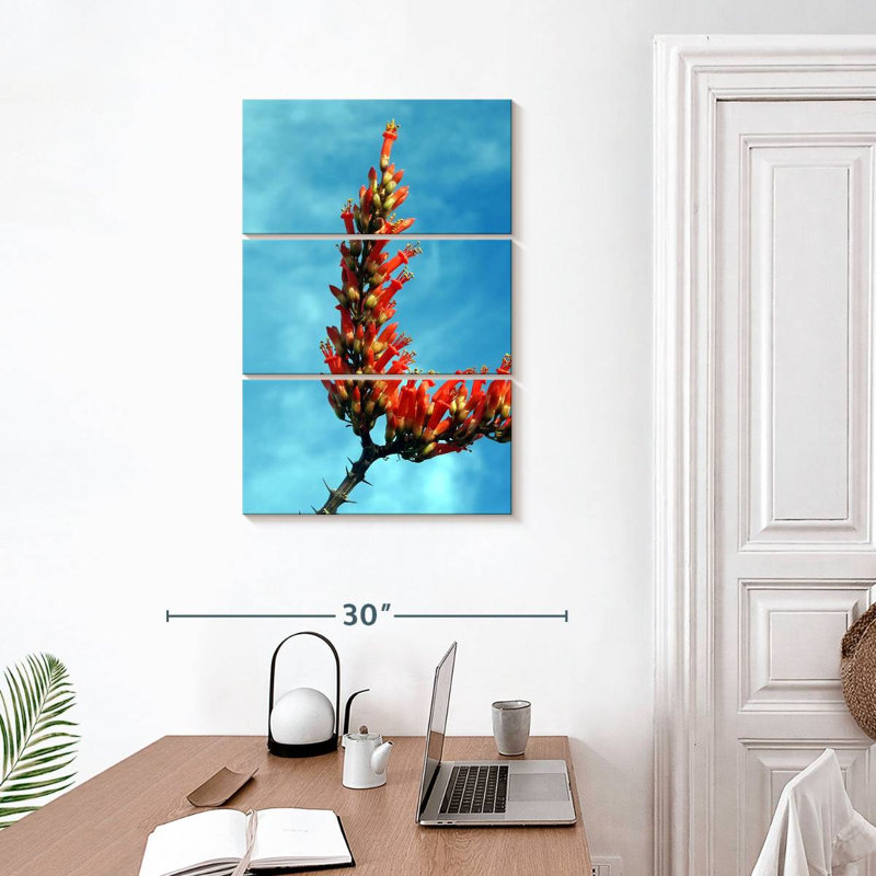 Harnek Flowering Ocotillo