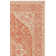 Allie Performance Oriental Indoor/Outdoor Area Rug