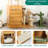 Fordwich 53.9'' H Cat Tree