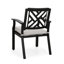 Chaises de salle à manger d'extérieur, beige clair, noir mat antique (ensemble de 2)