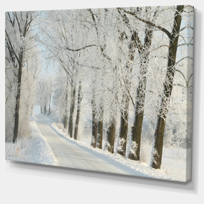 " Winter Rural Road Among Frosted Trees "