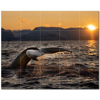 Baleine photo 8 x 8