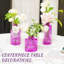 Ensemble de 12 vases Bud-997941615