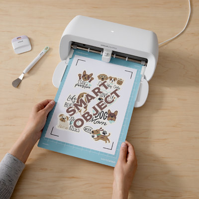 Ensemble de cartes et d'autocollants Cricut Joy Xtra