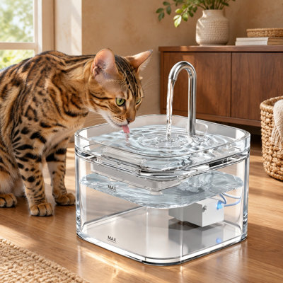 Fontaine à eau en verre pour chat de 2,5 L (78 oz) au design facile à nettoyer et sans plastique.