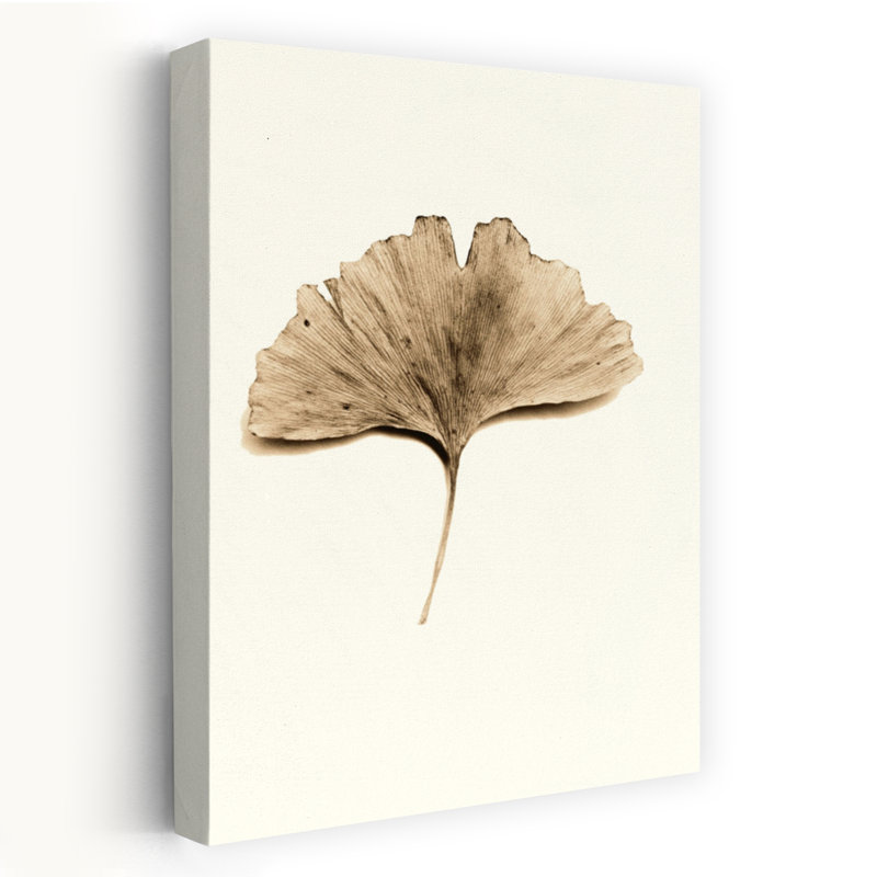 Feuille de ginkgo - art floral et nature morte avec feuilles botaniques, H 36 po x l 24 po