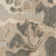 Abstract Area Rug