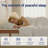 Twin Size Mattress,Memory Foam Mattresses for Cooling Night Sleep , Bed Mattress with Memory Foam and Pocket Springs  for Pressure Relief & Spinal Alignment - Mattress in A Box-1764048227-1764048226