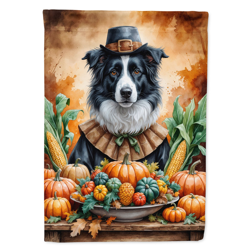 Drapeau de l'Action de grâce, Border collie