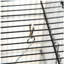 Cage à oiseau 45 po