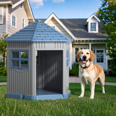 Dog House for Small to Medium Pets