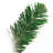2' Deluxe Oregon Fir Tree