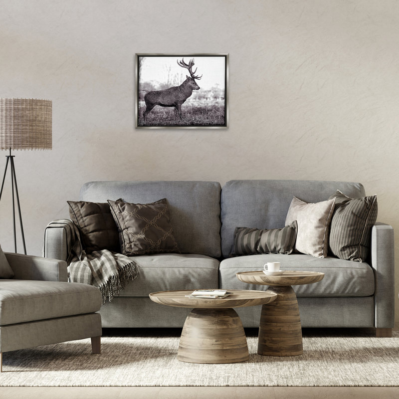 "Elk in Peaceful Forest", art mural sur toile flottante par Jasper Huish, H 17 po x l 21 po, Cadre flottant gris lustré