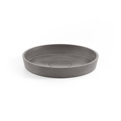 Saucer Plant Stand