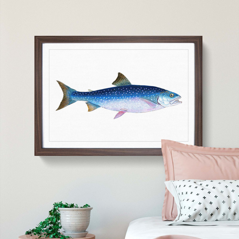 Alpine Charr Fish by Edward Donovan - Single Picture Frame Painting, 24cm H x 33cm W x 2cm D, Walnut Framed