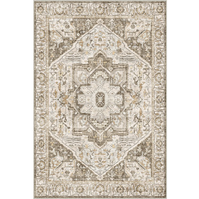 Oriental Area Rug