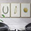Lucky Charm II - ensemble de 3 reproductions sur toile-97811886-97811897