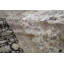 Oriental Area Rug in Ivory/Black