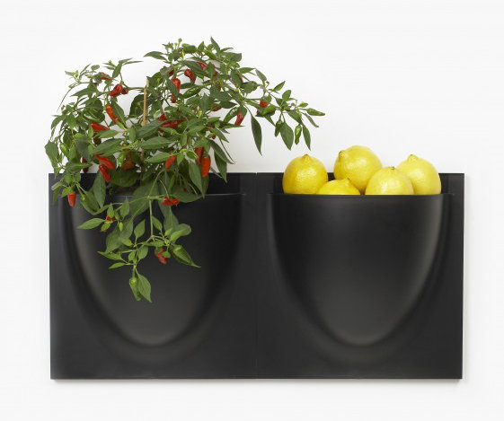 Wall Planter, Black