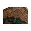 Wool Oriental Area Rug