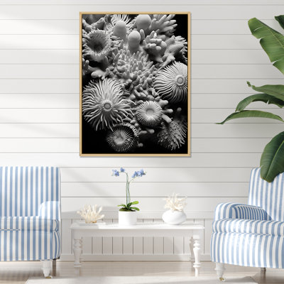 " Ocean Coral Anemone Parade "