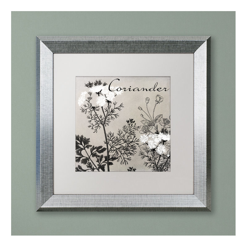 «Flowering Herbs IV» par Jadaya, impression encadrée, H 11 po x l 14 po x P 0,5 po, Blanc, Toile avec cadre argenté