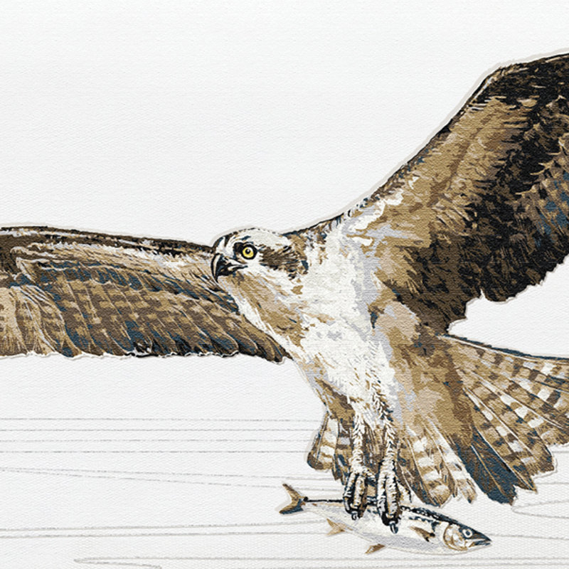 Osprey in Flight Lumbar Pillow