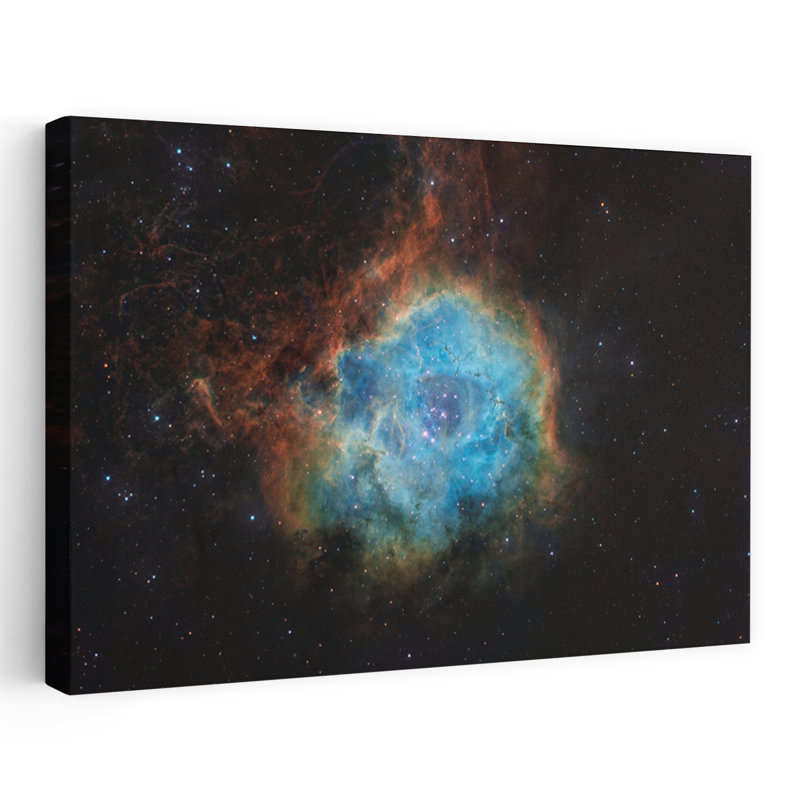 «Cosmic Rose Nebula Colorful Vibrant Abstract Rose Landscape Nature», reproduction d'art murale, 12" H x 18" W
