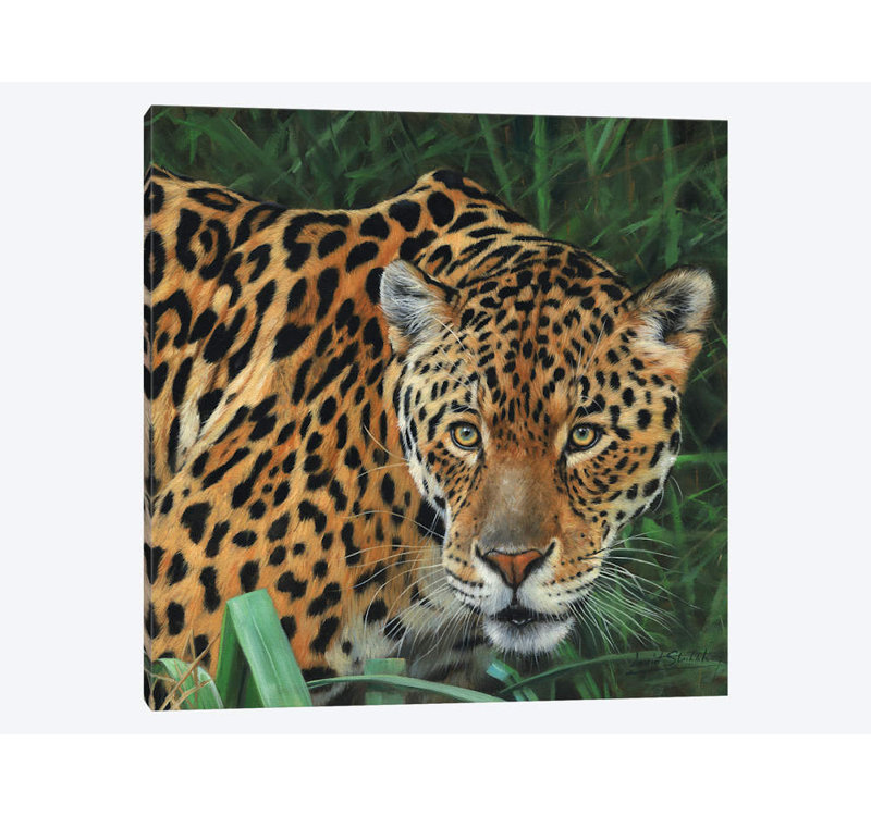 « jaguar big cat ii », impression sur toile, H 12 po x l 12 po x P 0,75 po, Toile tendue, Pas de tapis