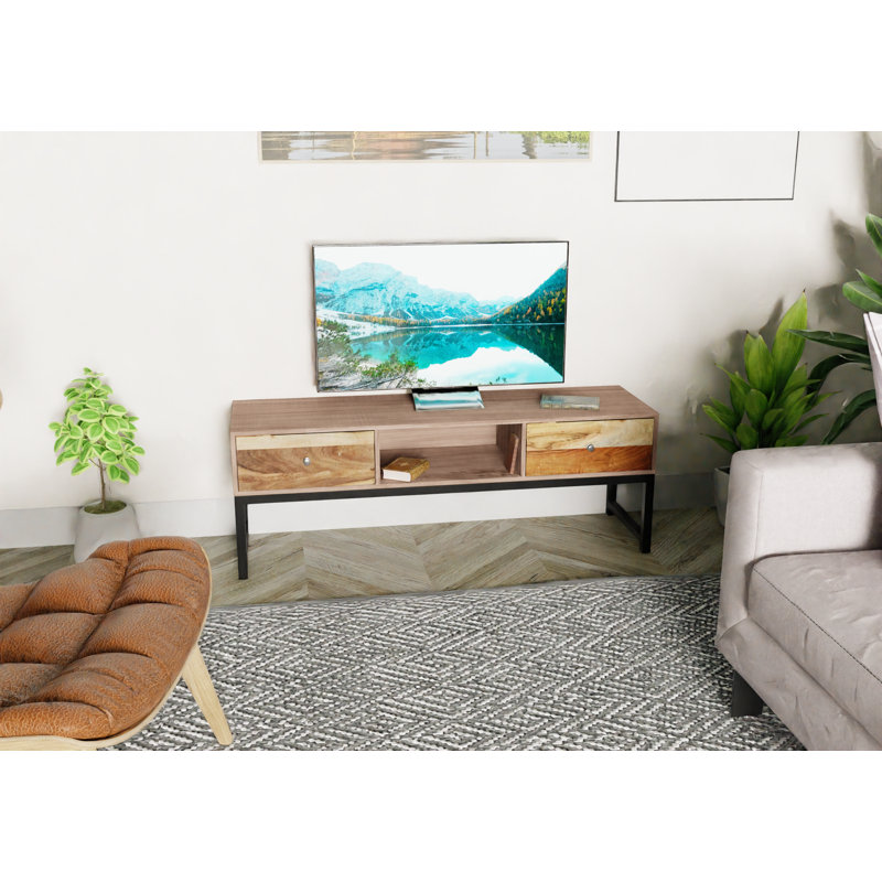 Meuble télé pour téléviseur de 40 po ou moins Raechelle