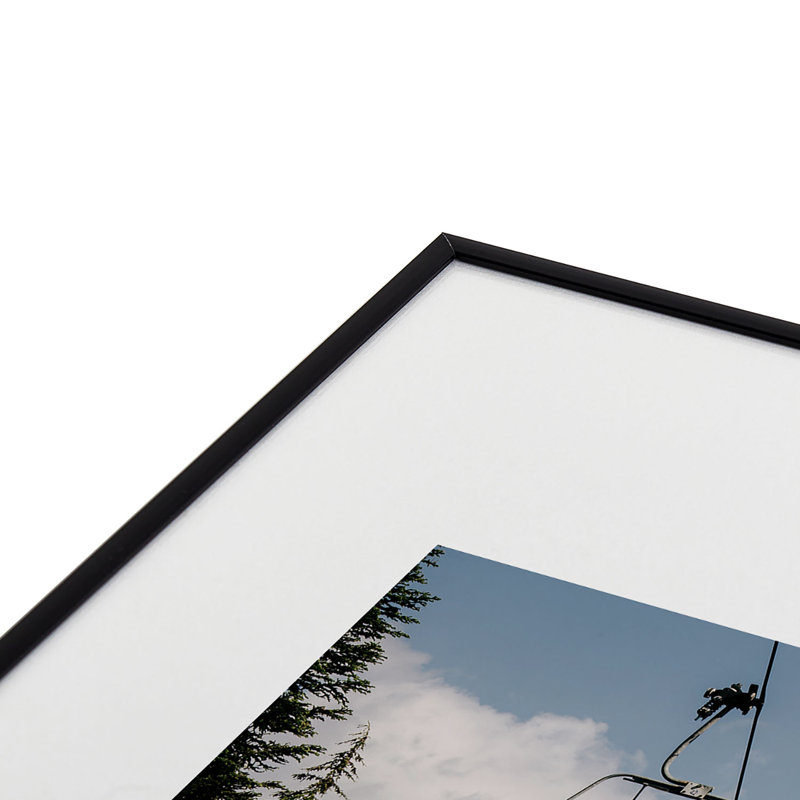 Reproduction d'art encadrée en métal Hannah Kemp Forest, Noir, H 24 po x l 18 po