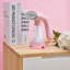 True & Tidy 600 W Garment Steamer-61401431