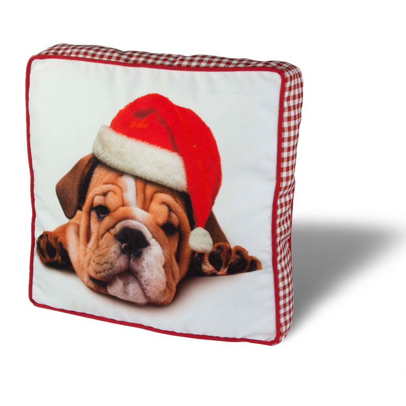 Coussin carré de qualité supérieure, 16,5 x 16,5 pouces, 50% coton / 50% polyester | Lavable et repassable avec fermeture à glissière dissimulée | Rembourrage en silicone pour un confort ultime | Housse amovible, parfaite pour la décoration intéri