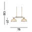 Asner 2-Light Kitchen Island Chandelier-1983718856