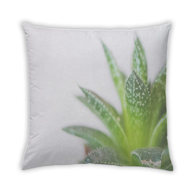 Coussin Plants Leaves 118