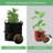 BTY Hydroponic Unit-92144119