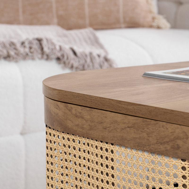 Amanni 1 Piece Coffee Table, Oak