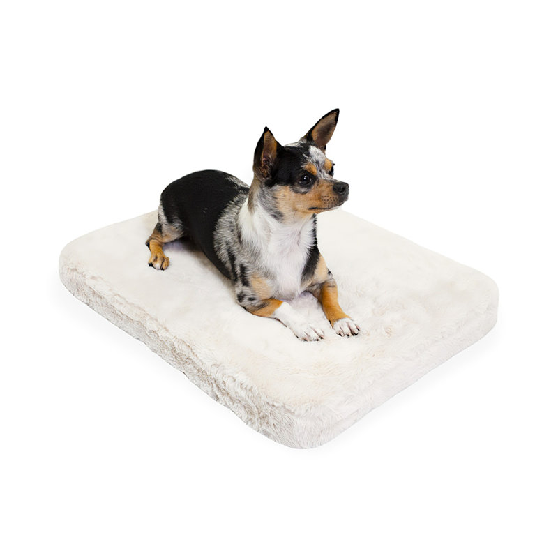 Lit pour chien Pixie Pad, Gris, H 2,41 po x l 41 po x P 27 po