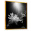 Plante corail noir et blanc II sur toile-45083990-45083998
