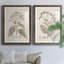 Antique sépia botanicals III - ensemble de 2 reproductions d'art sur papier encadré-1349054633-1349054638