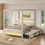 Grand lit plateforme à baldaquin tapissier avec lumières DEL, lit gigogne simple et 3 tiroirs de rangement, beige