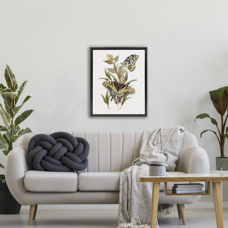 Cadre flottant avec herbes vertes Butterfly Grove, conception de House Fenway, H 31 po x l 25 po, Cadre flottant noir de jais