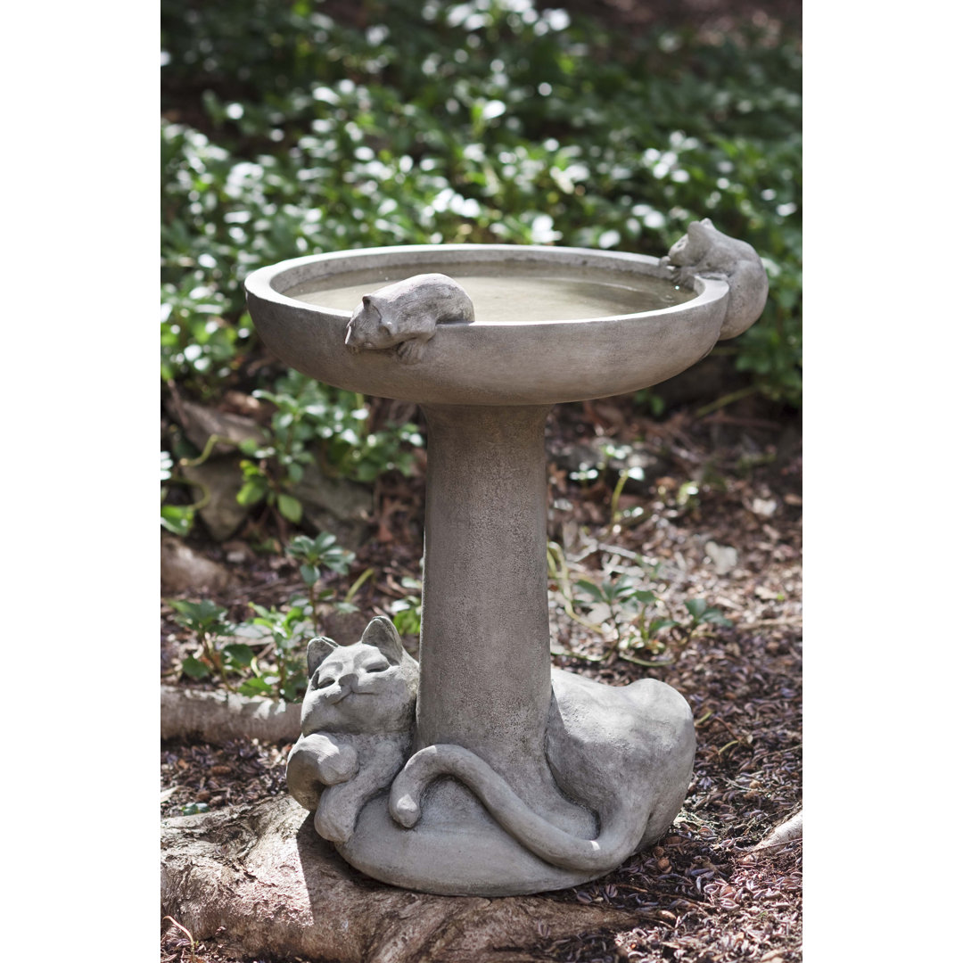 Cat Nap Concrete Pedestal Birdbath Campania International