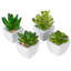8.3cm Faux Succulent Plant in Ceramic Planter