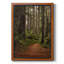 " Forest Path II "-1380837056